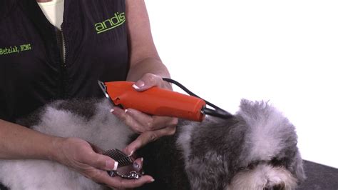 How To Use Attachment Combs How To Groom Dogs With Andis Youtube