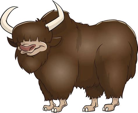 Smiling Cartoon Yak Illustrations Royalty Free Vector Graphics And Clip