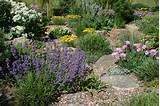 Images of Xeriscape Landscaping Pictures