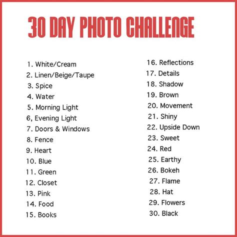 Day Photo Challenge Photography Challenge Beginners Days Photo Challenge Photography
