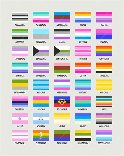 Colección De Banderas De Identidad De Género Banderas De Orgullo