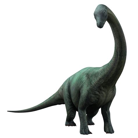 Apatosaurus Jurassic World Alive Wiki Gamepress