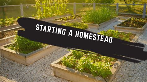 Becoming Self Sufficient Starting A Homestead YouTube