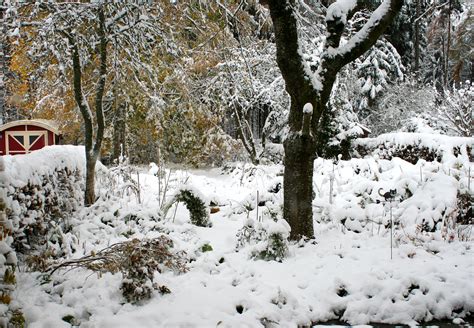 Zur überwinterung der pflanzen im garten, zur räumpflicht, zum frostschutz und vielem mehr. Der tierfreundliche Garten im Winter - aktion tier ...