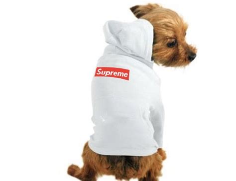 Supreme Dog Sweaters