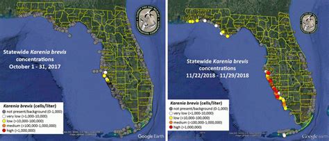 Understanding The 2017 2018 Florida Red Tide Ufifas Extension Hendry