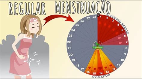 menstruaÇÃo irregular como regular o ciclo menstrual youtube