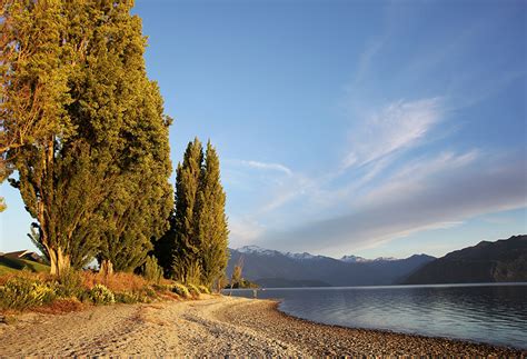 Photos New Zealand Lake Wanaka Autumn Nature Trees