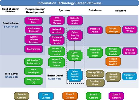 Graphic Diagram Of Career Path Options In Business Analyst