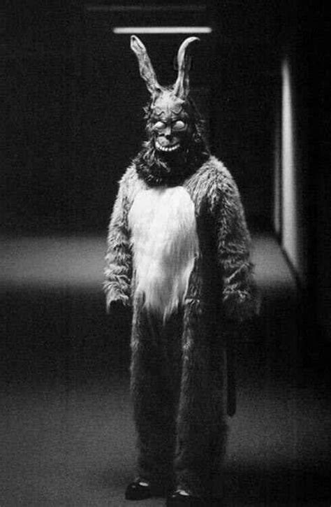 Frank Donnie Darkos 6 Foot Tall Imaginary Bunny Friend Donnie Darko Favorite Movies Great
