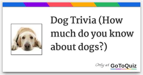 Dog Trivia How Much Do You Know About Dogs