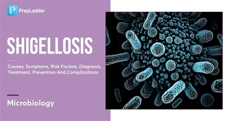 Shigellosis Causes Symptoms Risk Factors Diagnosis Treatment