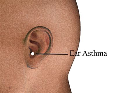 acupressure massage for asthma herbalshop