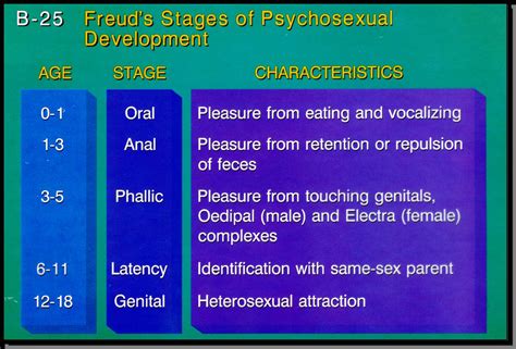 Psychosexual Development Anal Stage Phallic Stage