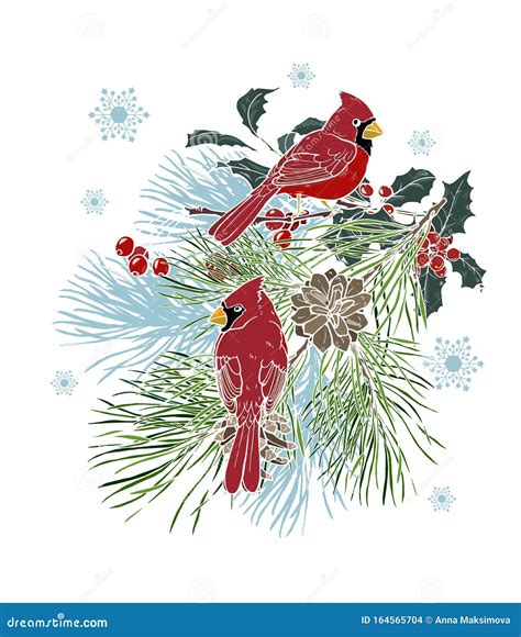 Two Cardinals Birds Male And Female Watercolor Illustration Set Hand