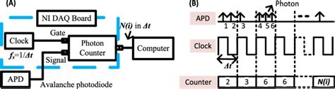 A The Scheme Of The Software Correlator APD Converts The Photon