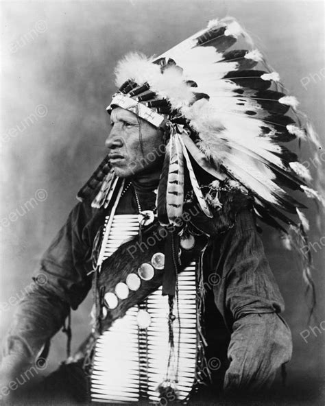 Red Bird Sioux Indian 1908 Vintage 8x10 Reprint Of Old Photo Native