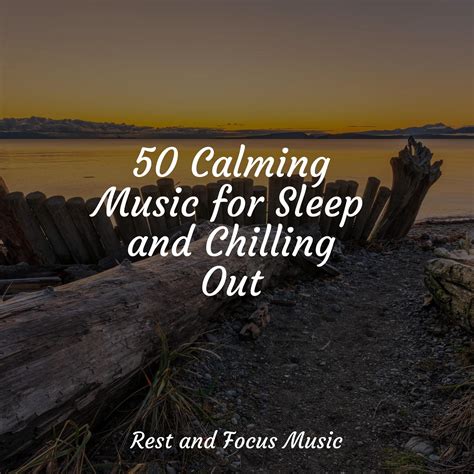 Treat Yourself_Música Zen Relaxante、Echoes Of Nature、Relaxation Sleep