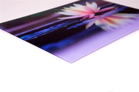 Acrylic Prints Perspex Printing South Africa Canvas Print Co