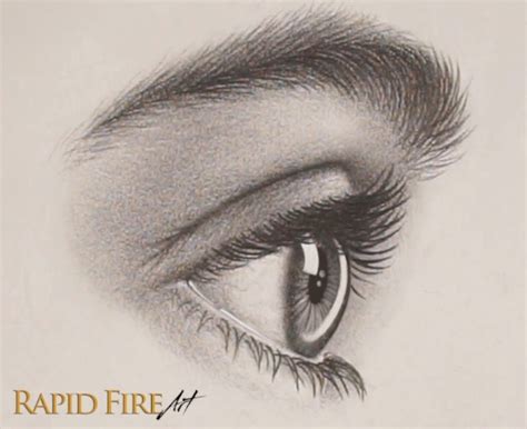 How To Draw A Realistic Eye From The Side Eyelashes And Eyebrow Rfa