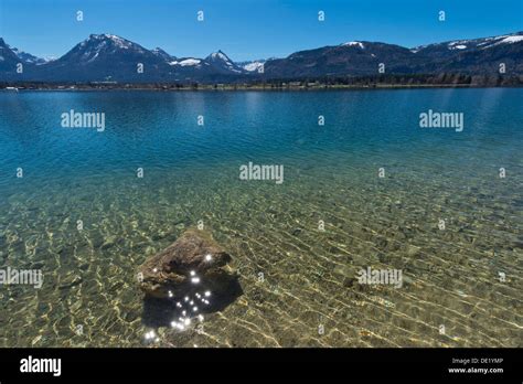 Lake Wolfgang Clear Water Ried Am Wolfgangsee Salzburg State