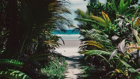 Download Wallpaper 3840x2160 Island Tropical Palm Trees Beach Sand