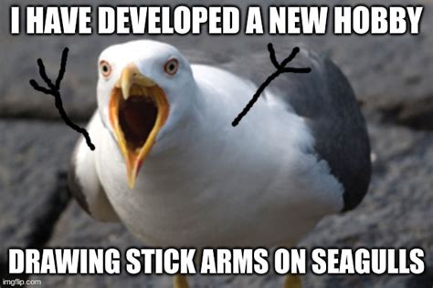 Stick Arms Seagulls Stick Seagulls Imgflip