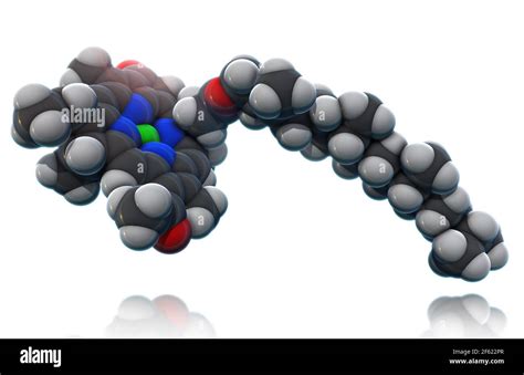 Molécula de clorofila Imágenes recortadas de stock Alamy