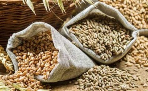 Whole grains are packed with nutrients including protein, fiber, b vitamins, antioxidants, and trace minerals (iron, zinc, copper, and magnesium). 7 Gluten Free Grains You Should Know About - NDTV Food
