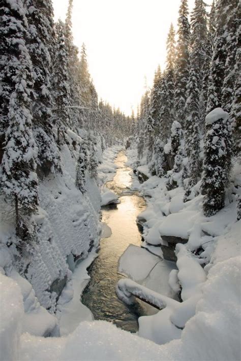 Kootenay national park has something for everyone! Pin by Zurel Mohamad on view | Kootenay national park ...