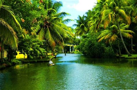 Top Tourist Places In Kerala The Ultimate Guide