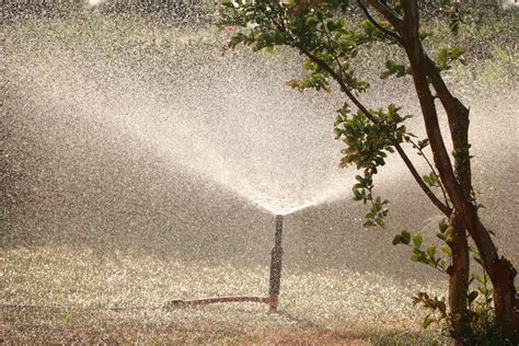 If you don't get a sturdy or rust free sprinkler, then it can get damaged soon and then you will spend more money on buying the new one. How to Set Up a Garden Irrigation System for Plants with ...