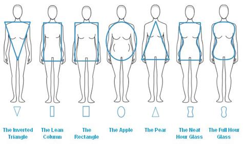 Female Body Types Chart