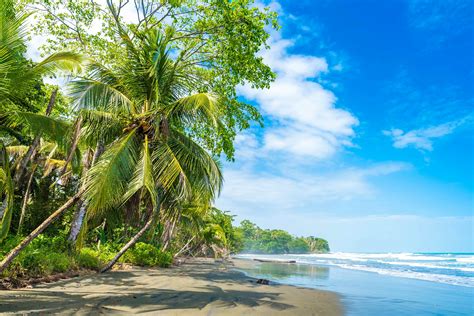 The 12 Best Beaches In Costa Rica Lonely Planet
