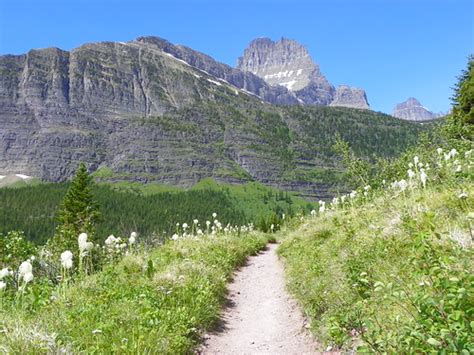 Iceberg Lake Trail Glacier National Park Mt Kathryn Adams Flickr