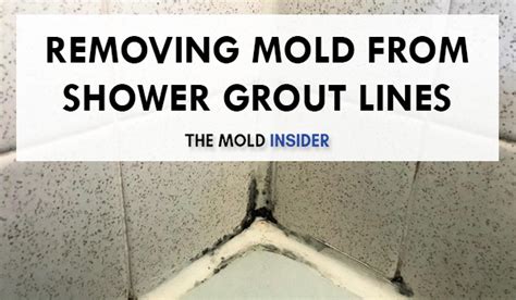 How To Remove Black Mould From Bathroom Grout Artcomcrea
