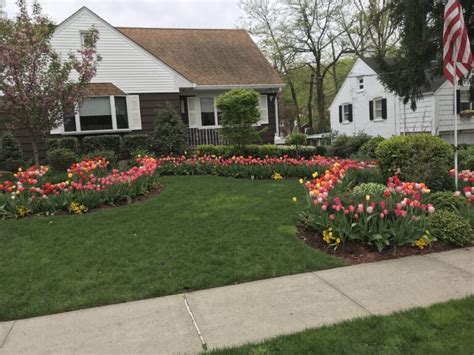 Long island is your landscaping and garden center. Staten Island Landscaper Gallery - Staten Island Lawn Care