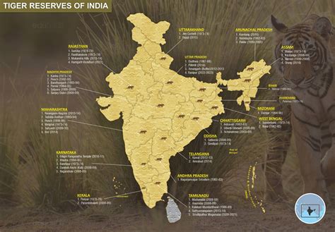 Tiger Reserves Of India Edubaba