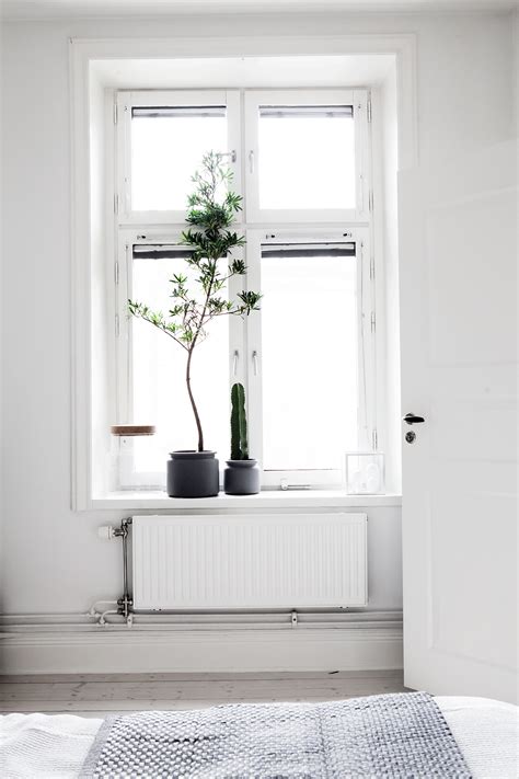Estilo nórdico en blanco y negro | delikatissen