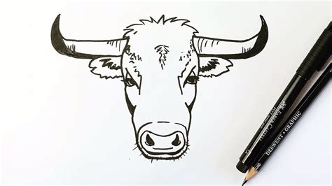 How To Draw A Bulls Head Youtube