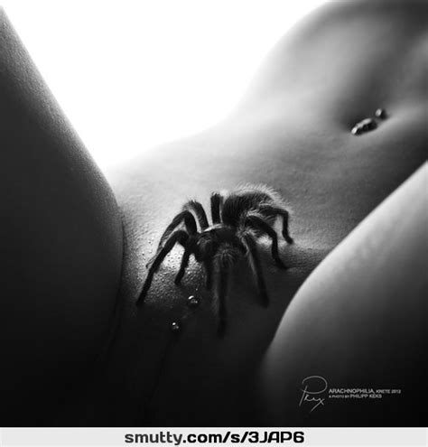 Spiders On
