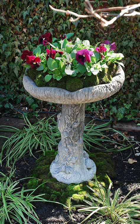 Cushion Moss and Pansy Project | Bird bath planter, Diy bird bath, Bird