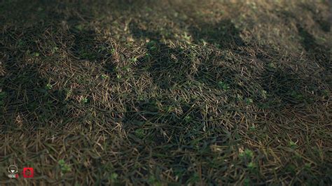 Olha Mendelis Jungle Grass Textures Set