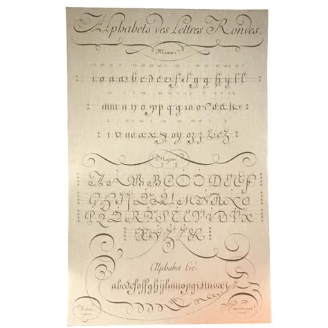Alphabet Calligraphy Print On Linen Chairish
