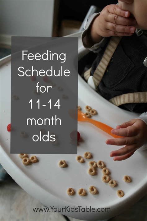 Now that i have two kids, i bathe the smaller one in the sink and set her in the swing while i bathe my older girl. Feeding Schedule for 11, 12, and 13 month olds - Your Kid ...