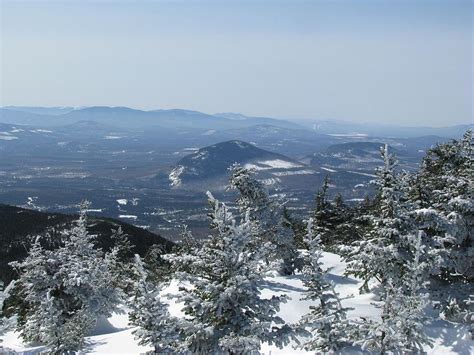 Snow Covered Trees Overlook Coburn Mountain Range Photograph By Gina