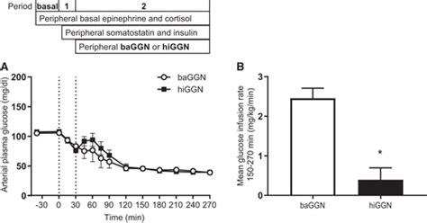 Glucagon was originally thought to be a contaminant that caused hyperglycemia found in pancreatic extracts in studies from 1923. Use Of Glucagon And Ketogenic Hypoglycemia : Reactive ...