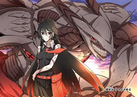 Akame Ga Kill Image By Tashiro Tetsuya 2165189 Zerochan Anime Image