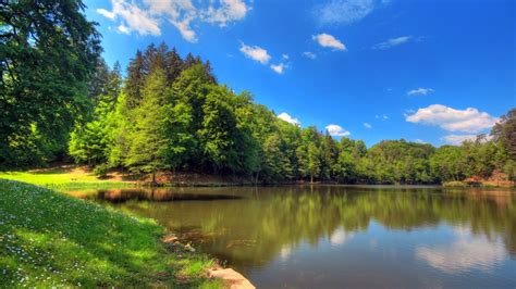 Lake Surrounded By Green Trees Reflection On Water Under Blue Sky Hd