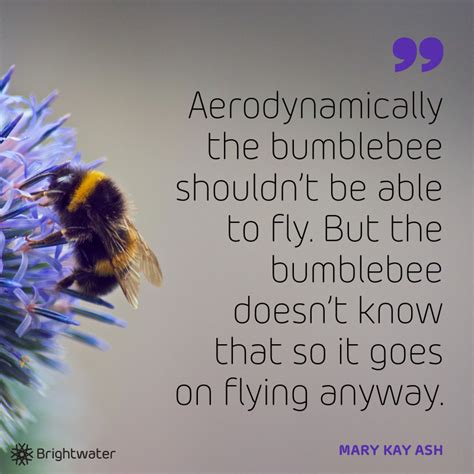 Aerodynamically The Bumblebee Shouldnt Be Able To Fly But The Bumblebee Doesnt Know That So